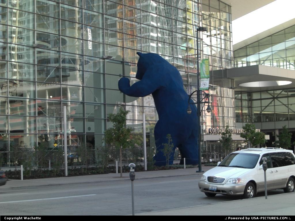 Picture by Wachette: Denver Colorado   bear