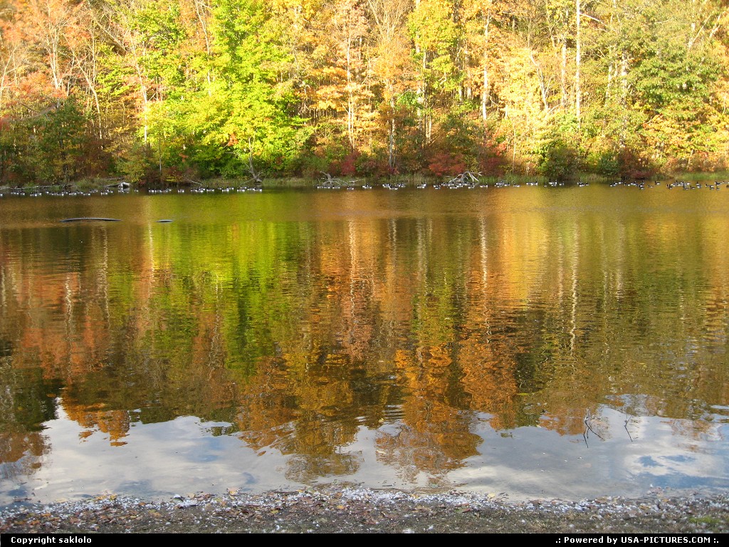 Picture by saklolo: Not in a City Connecticut   Autumn reflections