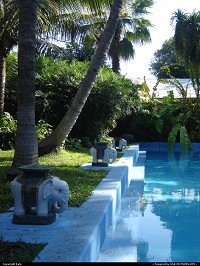 Key West : The pool at Ernest Hemingway House