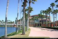 The Swan and Dolphin resort in Disney. A well deserved break after an full week of IT Training under the gorgeous weather of Central Florida