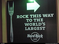 Photo by elki | Orlando  hard rock cafe