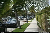 Florida, Palm beach street