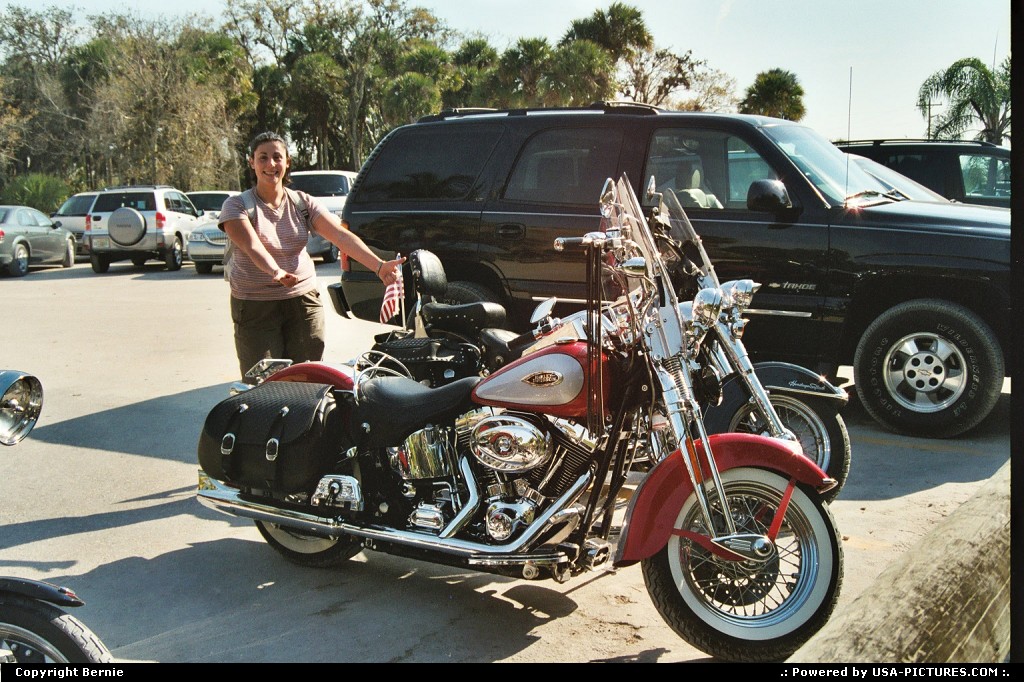 Picture by Bernie: Hors de la ville Florida   bike, Harley-Davidson