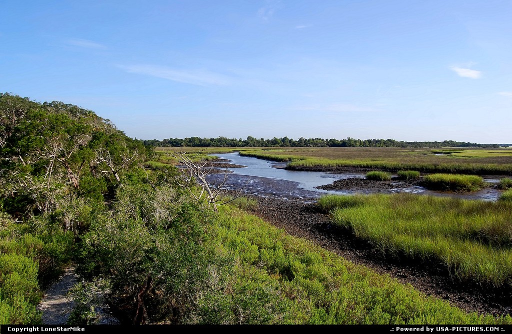 Picture by LoneStarMike: Jacksonville Florida   marsh, park, trail,