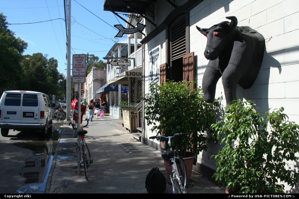 Picture by elki: Key West Floride   duval bull key west