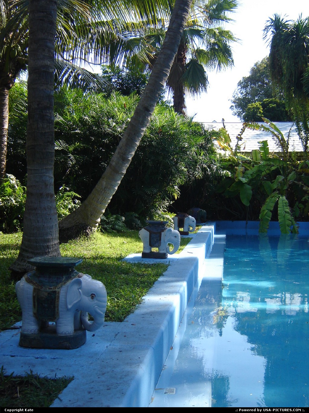 Picture by Kate: Key West Florida   pool