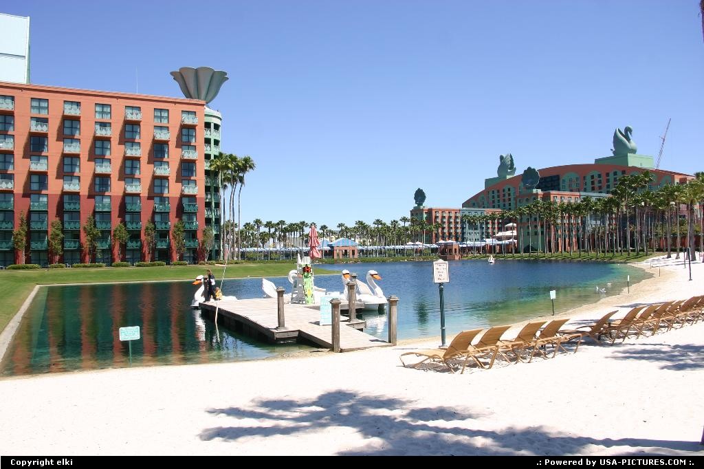 Picture by elki: Lake Buena Vista Floride   disney, resort, pool