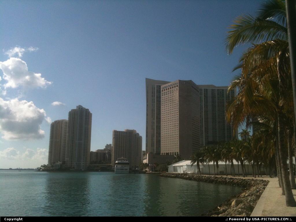 Picture by Bernie: Miami Florida   