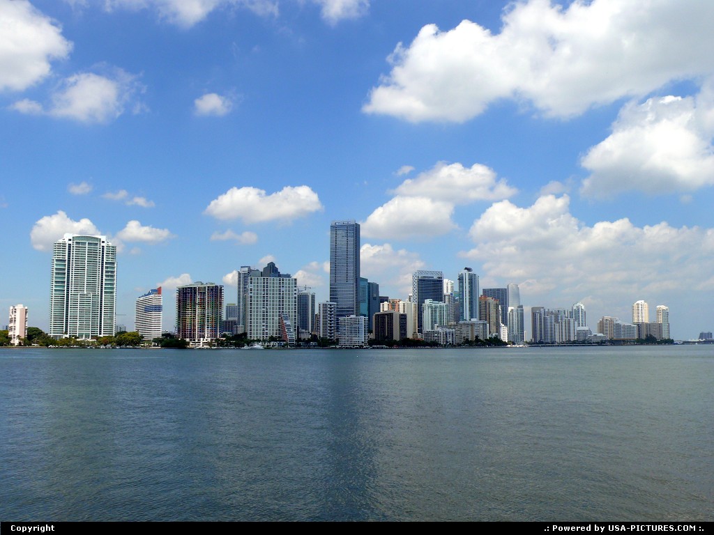 Picture by Bernie: Miami Florida   
