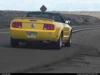 Hawaii Volcanoes national park: Mustang within the park