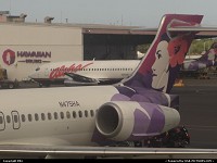 Hawaiian and Aloha, side by side at the airport