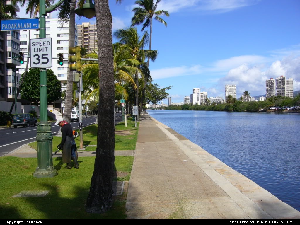 Picture by TheKnock: Honolulu Hawaii   