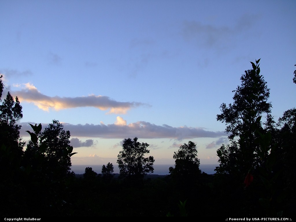 Picture by HulaBear: Not in a City Hawaii   Puna, Hawaii, forest, dawn