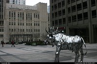 Steel moose at the botom of chicago tribune.