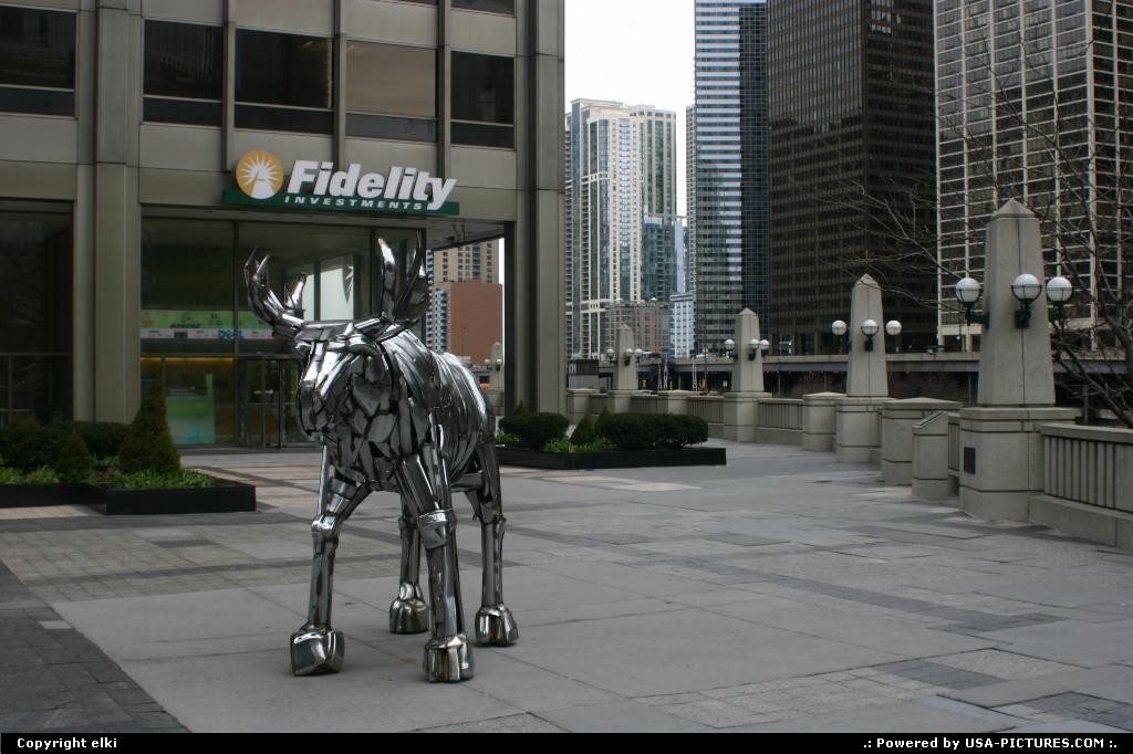 Picture by elki: Chicago Illinois   chicago steel moose