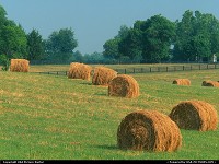 Not in a city : Summer Harvest - Kentucky