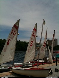 Boston : 2 man sailing boats, of which I am a captain.