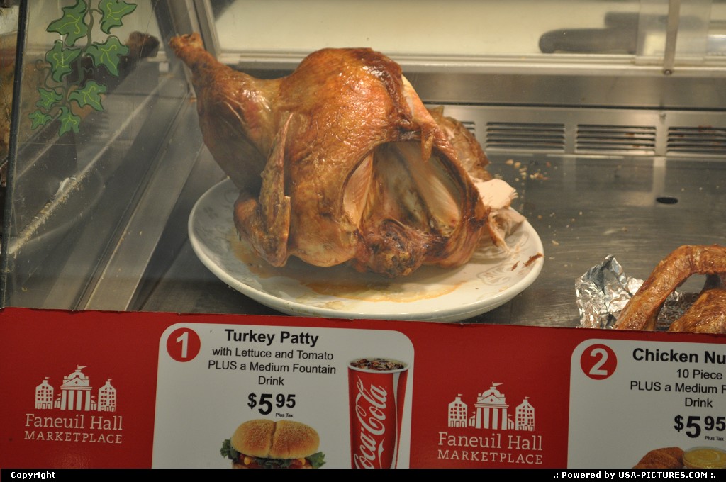 Picture by elki: Boston Massachusetts   turkey