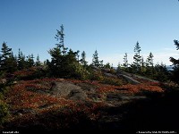 Acadia : Acadia national park