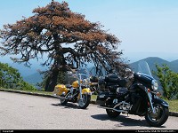 Not in a City : Blue Ridge Parkway