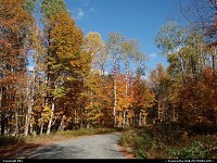  : Fall colors in New Hampshire