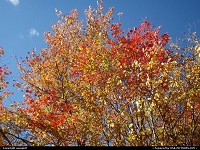 New-Hampshire, Fall color new hampsire