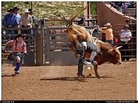 New-mexico, Rodeo