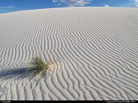 , Not in a City, NM, White Sands
