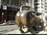 The famous bull next to Wall Street in Lower Manhattan. Massive and brutal!