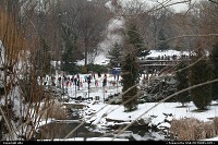 New York : Central Park under snow