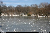 lac gel dans central park