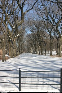 New York : centra park sous la neige