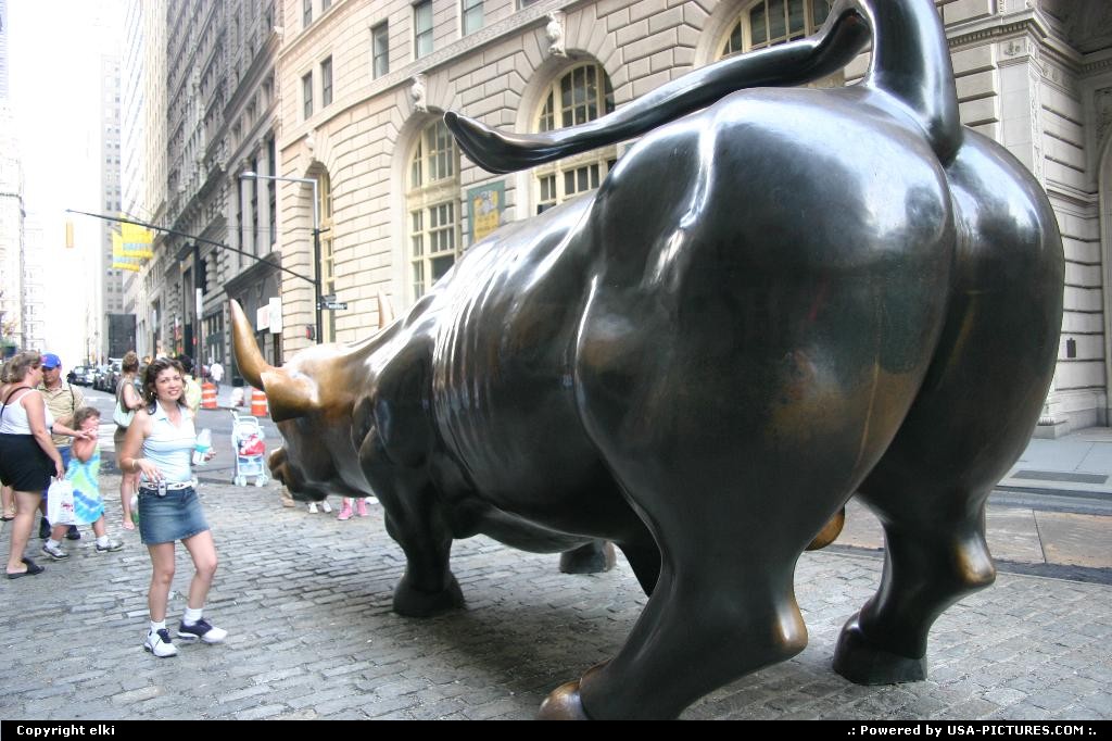 Picture by elki: New York New-york   new york bull