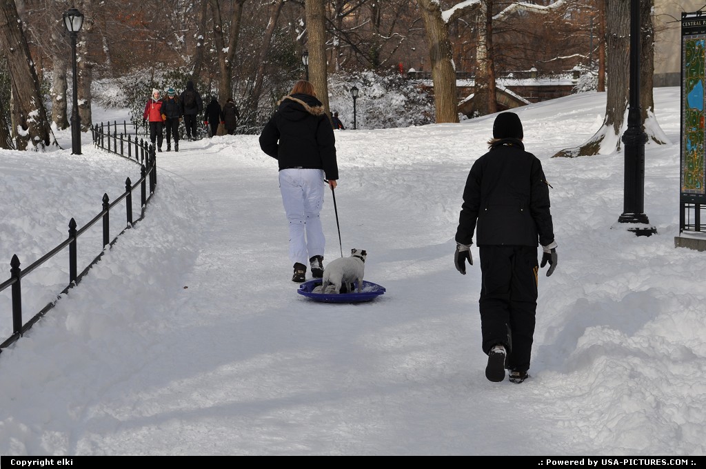 Picture by elki: New York New-york   central park snow