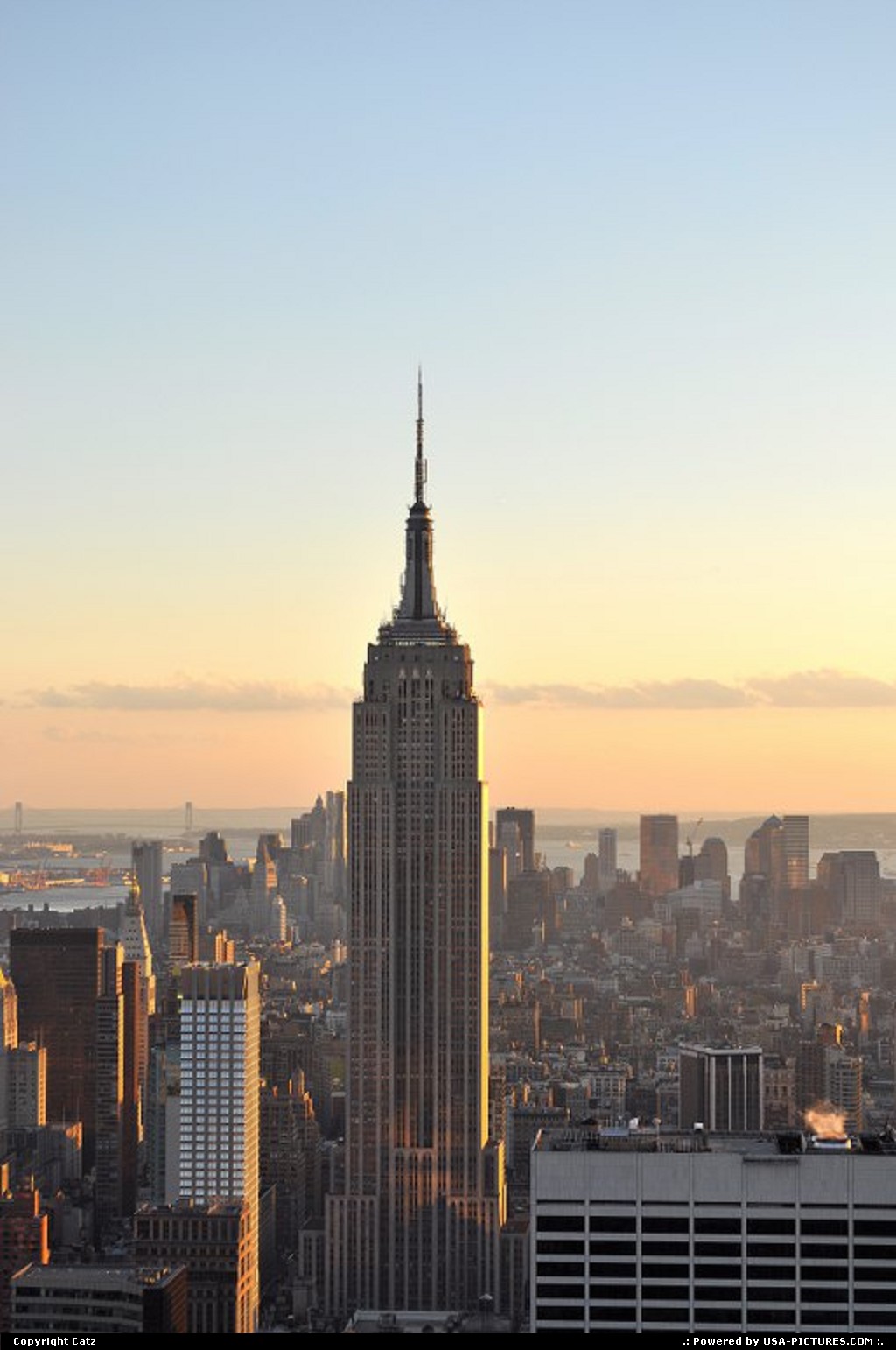 Picture by Catz: New York New-york   New York,skyline
