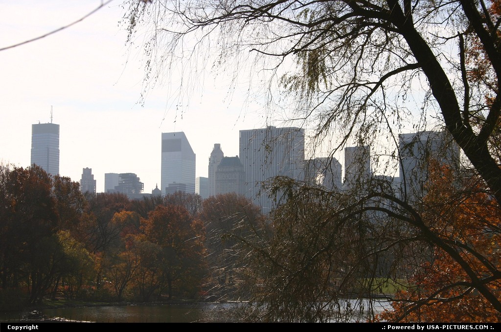 Picture by Mcb74: New York New-york   central park