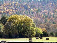 Honobia : Freshly mown hay baled in a field with Autumn Glory in the background, near Honobia, OK, home of BigFoot