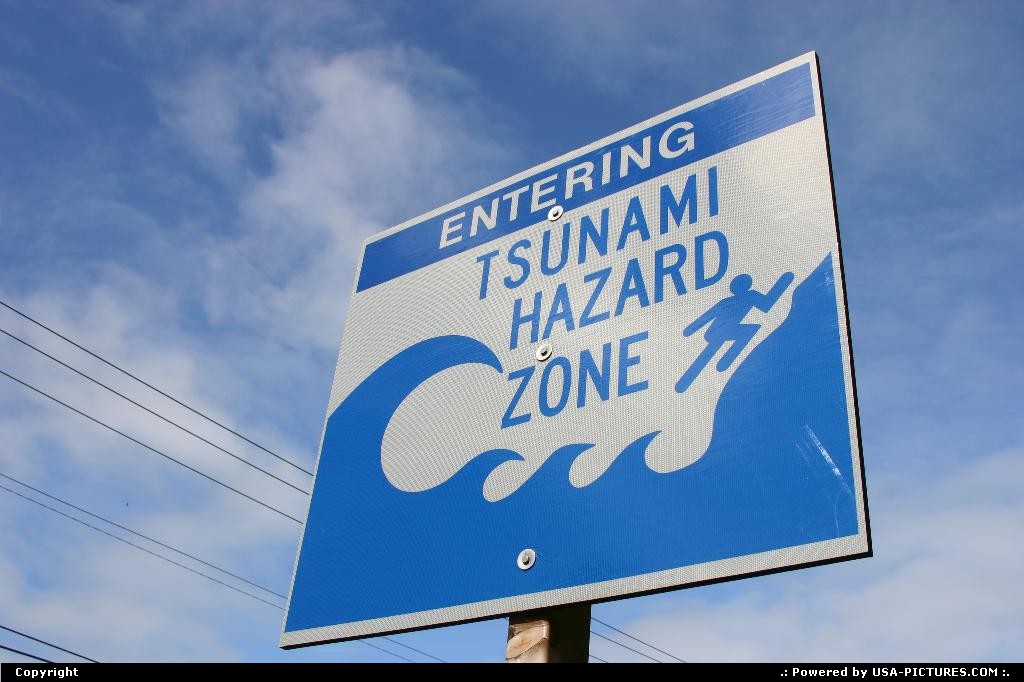 Picture by elki:  Oregon   tsunami, coastal road