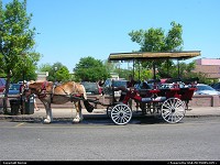 Photo by Bernie | Charleston  horse, wagon, visiting