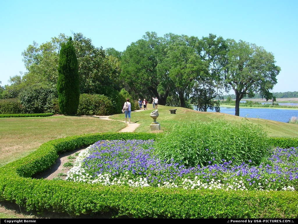 Picture by Bernie: Charleston South-carolina   plantation, flowers