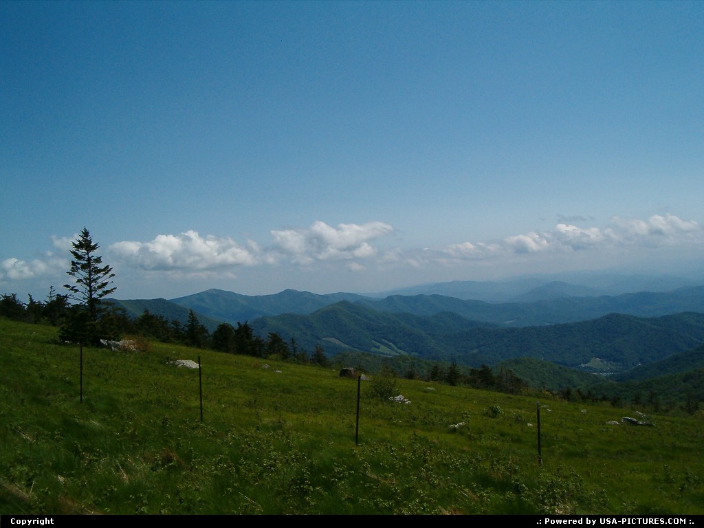 Picture by jimgwilson: Roan Mountain Tennessee   