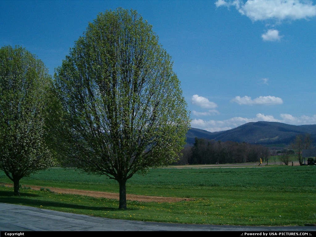 Picture by jimgwilson: Watauga Tennessee   
