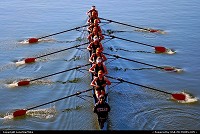 Texas, Rowing team on Lady Bird lake
