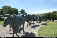bull's sculture dallas