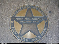 A star between many famous others on the Texas trail of fame