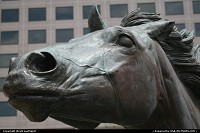 Irving : The Mustangs of Las Colinas. Irving, Texas. Such a nice and huge bronze sculture! Look how sharp the sculture is!