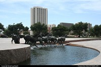 Texas, The Mustangs of Las Colinas. Irving, Texas. Such a nice and huge bronze sculture!