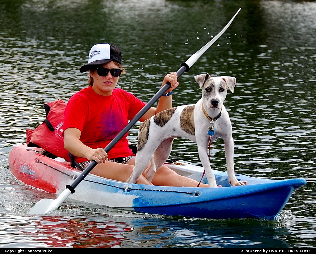 Picture by LoneStarMike: Austin Texas   kayak, dog