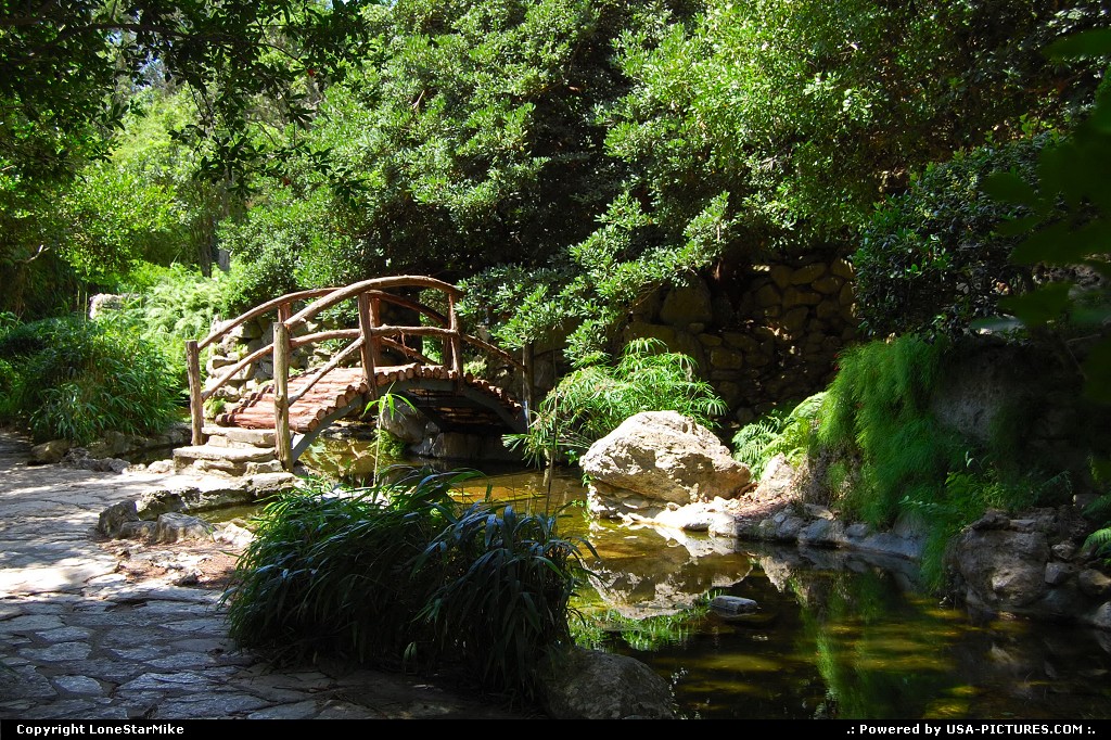Picture by LoneStarMike: Austin Texas   park, garden, bridge, pond