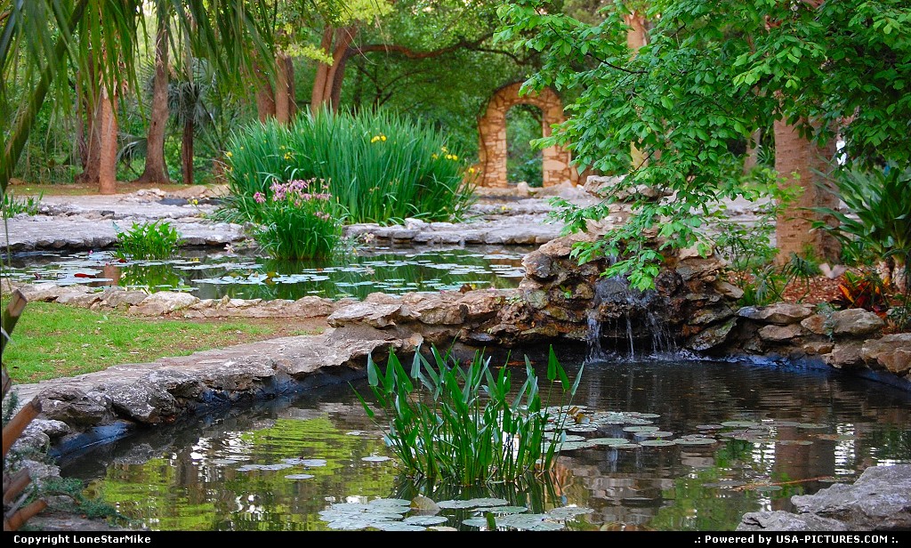 Picture by LoneStarMike: Austin Texas   park, garden